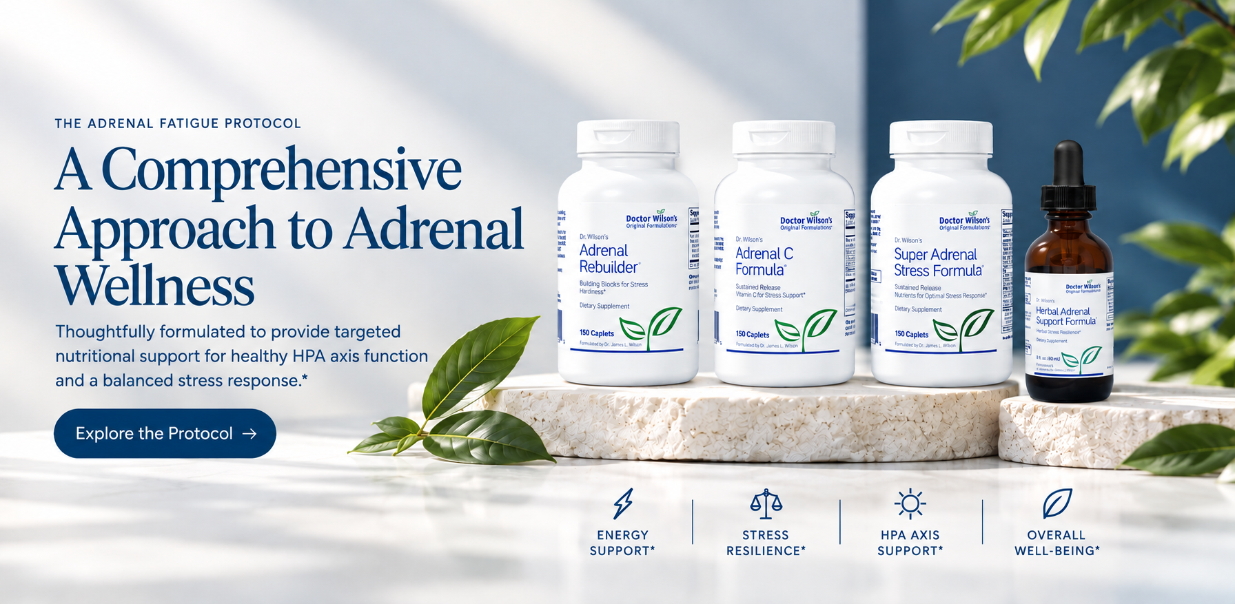 Promotional banner showing four adrenal wellness bottles on a stone pedestal with leaves and a blue CTA button on the left.