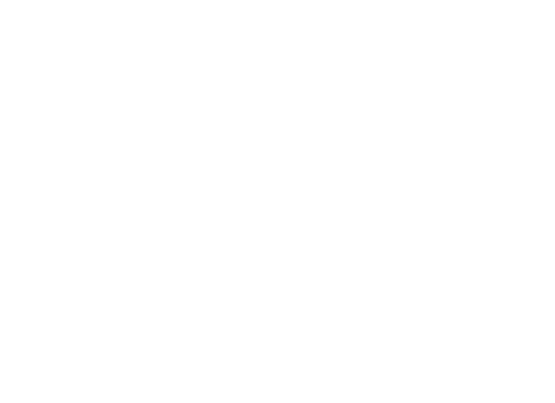 Blank white image with no visible content.