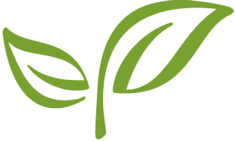 Green sprouting seedling with two leaves, symbolizing growth and sustainability.
